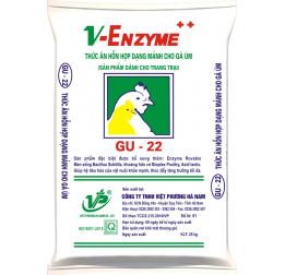 GU22 - Hỗn hợp cho gà úm